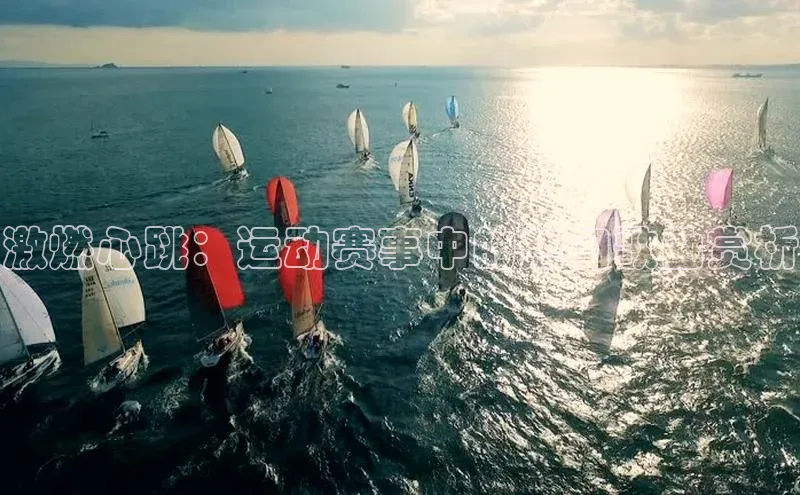 激燃心跳：运动赛事中的热门歌曲赏析