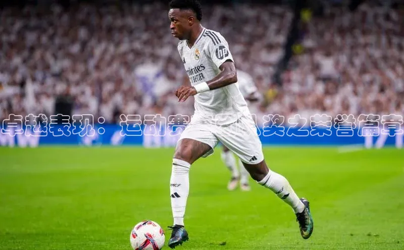 卓越表现：运动赛事团队奖之荣誉篇章