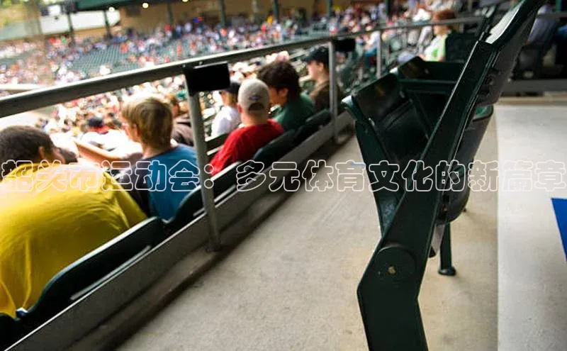 韶关市运动会：多元体育文化的新篇章