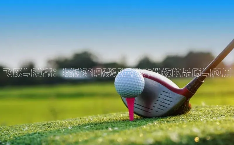 飞跃与激情：探讨洛阳赛事运动木地板的品质与应用