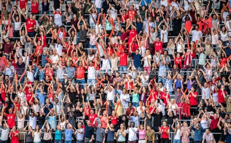 突破界限，尽享赛道之美——赛事级运动地胶品牌背后的故事与创新科技