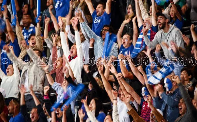 国际运动盛事：世界顶级体育赛事的魅力与挑战