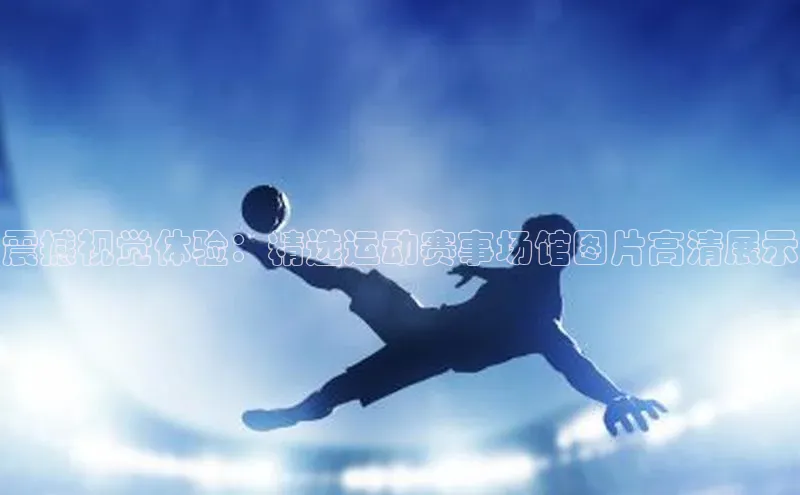 震撼视觉体验：精选运动赛事场馆图片高清展示