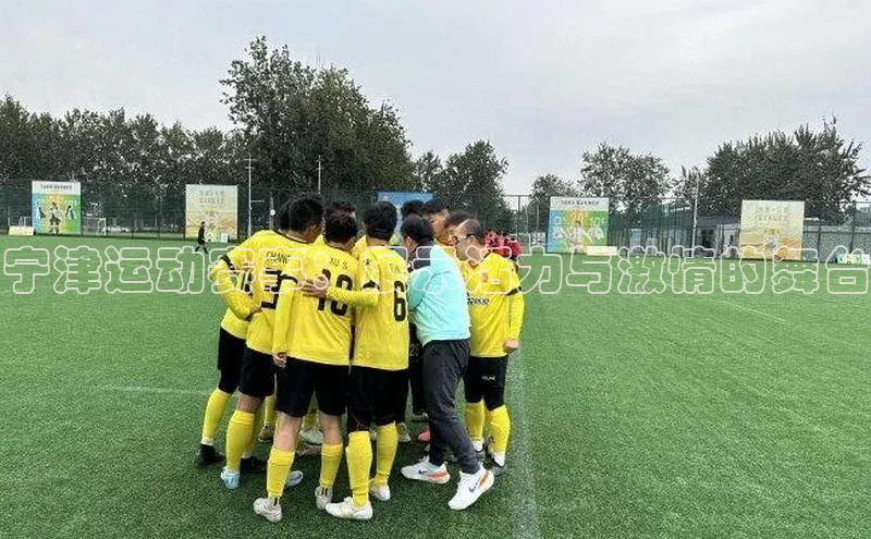 宁津运动赛事：展示活力与激情的舞台