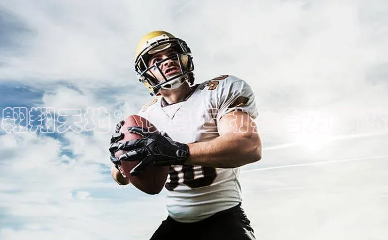 翱翔天地：候鸟运动会官方网站