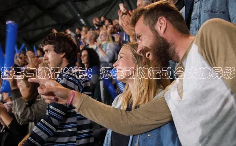 新宝gg创造奇迹登录注册玩法