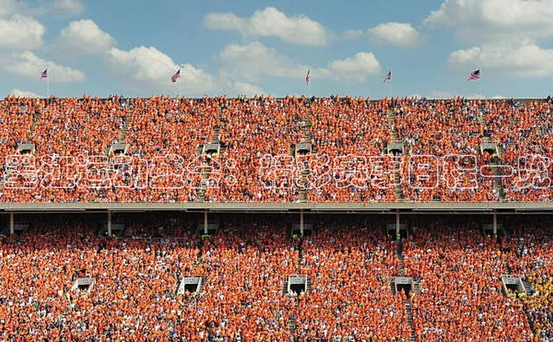 新宝gg平台注册官网