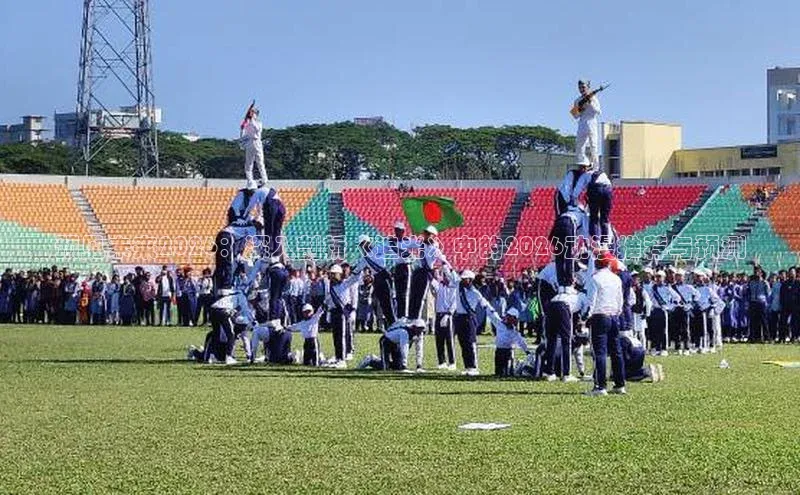 预见未来2026：深入剖析《追光》中的2026动漫推荐与预测